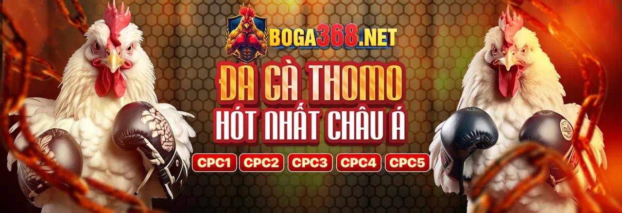 Đá Gà Trực Tuyến GA88 APP 2026